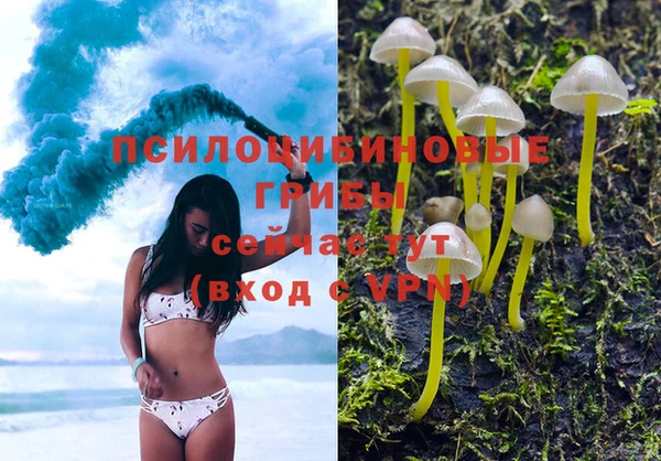 трава Богданович