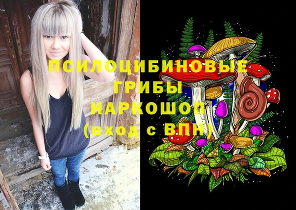 гидропоника Богородск