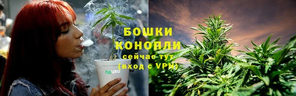 трава Богданович