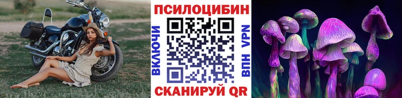 hydra ССЫЛКА Набережные Челны Псилоцибиновые грибы GOLDEN TEACHER